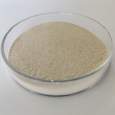 Enzima proteolítica de ácido habio proteasa de alta eficiencia 100.000U/g Enzima digestiva en polvo