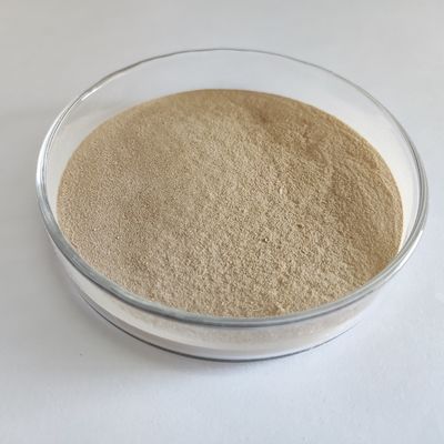 Enzima proteolítica digestiva de alta eficiencia habio-neutral proteasa en polvo/gránulo 100.000 u/g