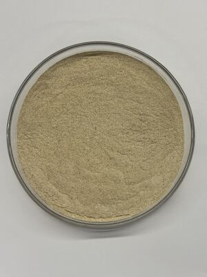 BP100 Polvo Proteasa enzima para mejor digestibilidad de las proteínas y salud intestinal