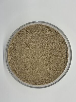 Enzima proteasa de alimentación de alta estabilidad BP100 para una mejor utilización de las proteínas y digestibilidad de los aminoácidos (100.000 U/g)