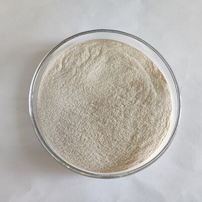 Suministro de fábrica de enzima lipasa de grado alimentario 300.000U/g en polvo para piensos, aditivo premezclado