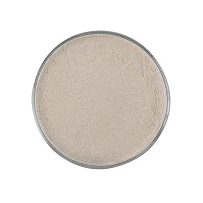 20000U Alpha Amylase Powder Cas blanca 9000 90 2 para la mezcla preparada de antemano