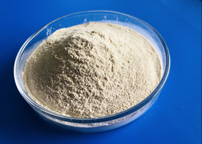 Cas 9025 57 enzima digestiva 80 Mesh Protease In Food Industry de 4 proteasas
