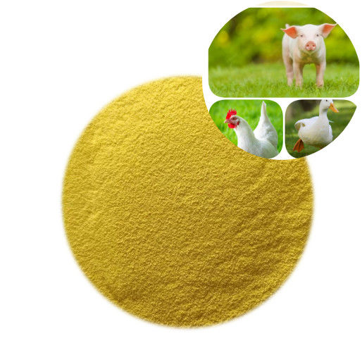 Aditivos para alimentos en polvo con enzima de glucosa oxidasa GOD de nutrición avícola