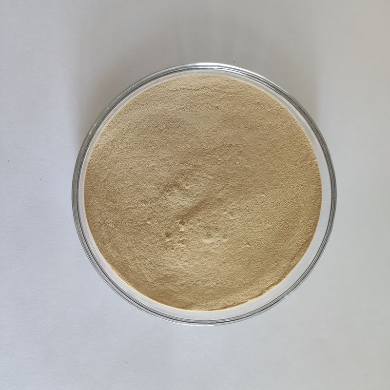 Habio Protease BP100 100,000U/g Polvo / Gránulo Proteasa de alimentación intestinal entera