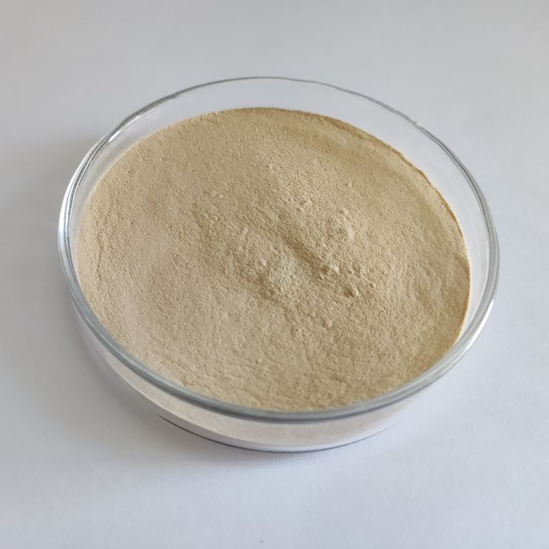 Habio Protease BP100 100,000U/g Polvo / Gránulo Proteasa de alimentación intestinal entera
