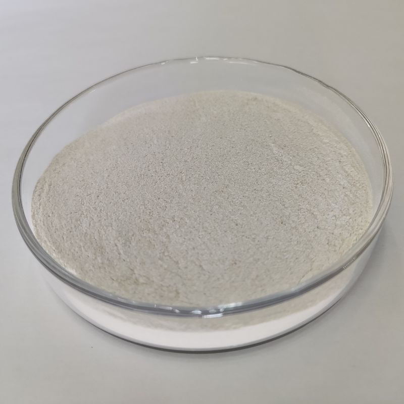 Alta estabilidad 100000U Enzima proteasa alcalina en polvo Amarillo Marrón Para elaboración de alcohol