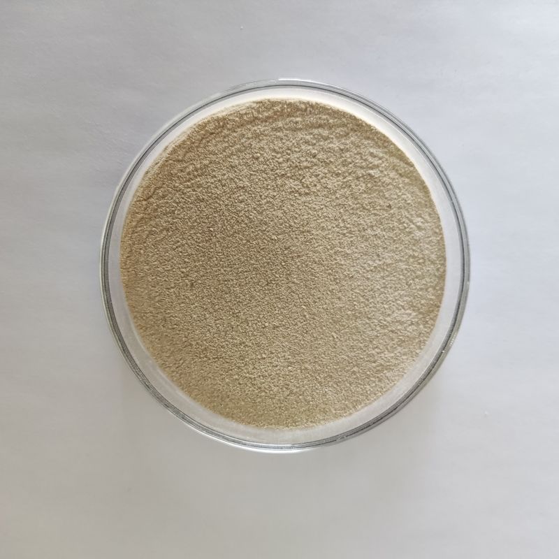 Polvo de proteasa ácida Habio Enzima proteolítica ácida de alta eficiencia 100,000U/G