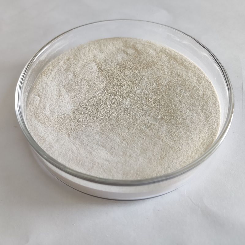 Sacarificación continua en polvo/líquido de glucoamilasa de Habio para la elaboración de cerveza con azúcar y almidón