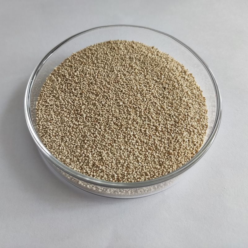 La nutrición de la lipasa habioenzimática mejora la absorción y la utilización del biodiesel