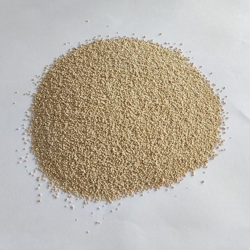 La nutrición de la lipasa habioenzimática mejora la absorción y la utilización del biodiesel
