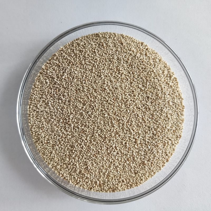 La nutrición de la lipasa habioenzimática mejora la absorción y la utilización del biodiesel