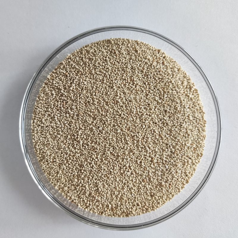 La nutrición de la lipasa habioenzimática mejora la absorción y la utilización del biodiesel