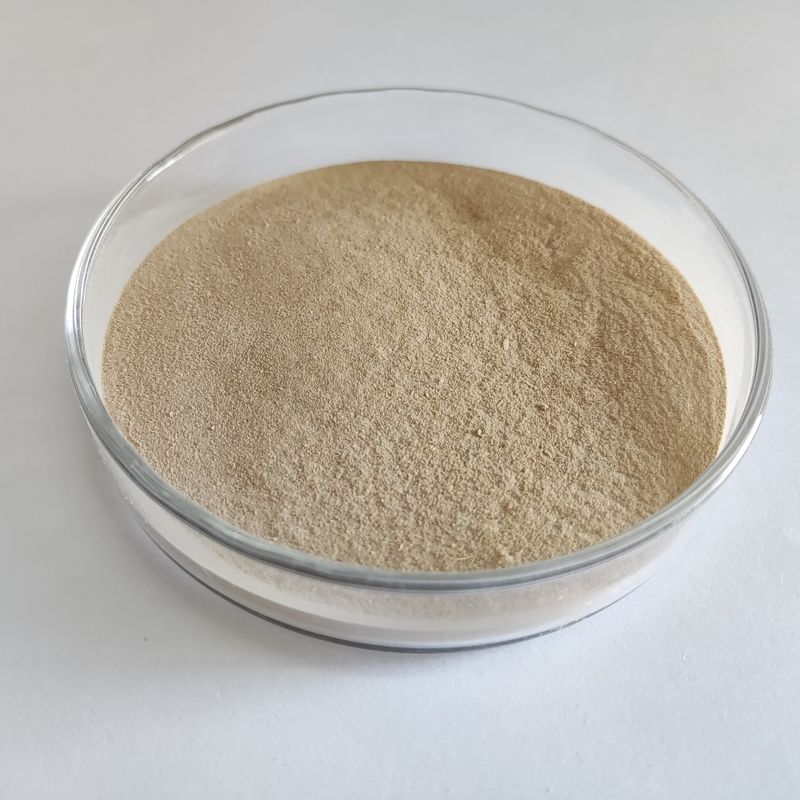 Enzima proteolítica digestiva de alta eficiencia habio-neutral proteasa en polvo/gránulo 100.000 u/g