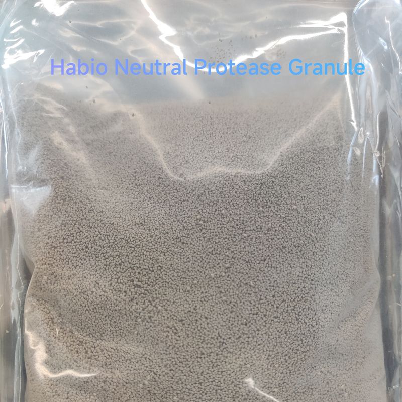 Enzima proteolítica digestiva de alta eficiencia habio-neutral proteasa en polvo/gránulo 100.000 u/g