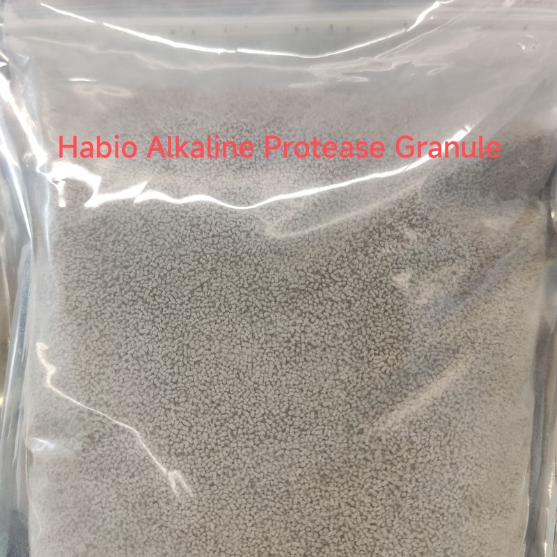 Proteasa alcalina de grado alimenticio de alta estabilidad para la hidrólisis de proteínas y liberación de aminoácidos