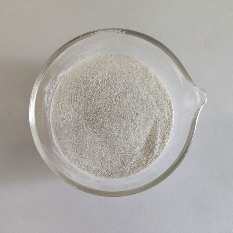 Habio alfa galactosidasa 50.000 U/g Polvo Aditivos de grado alimenticio solubles en agua