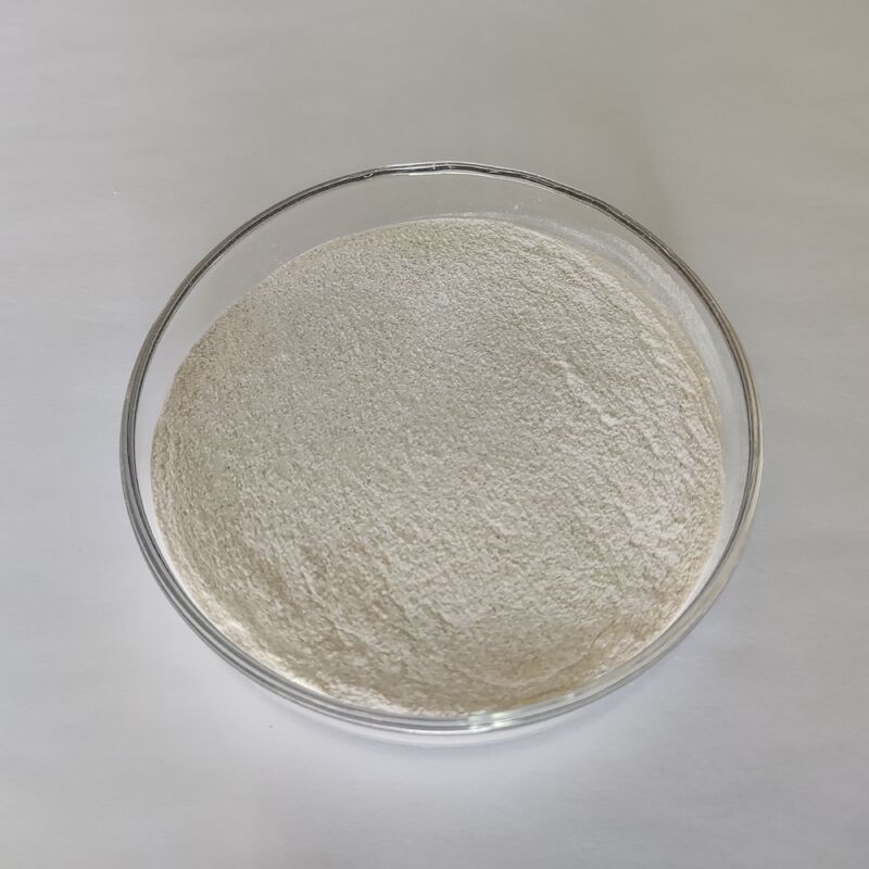 Polvo de Enzima Proteasa Alcalina de Grado Alimenticio 1,000,000 U/g con Alta Eficiencia de Degradación de Proteínas y Propiedades Enzimáticas Estables