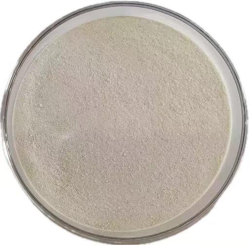 Queratinasa para piensos para uso alternativo de proteínas y reducción de costos de piensos.