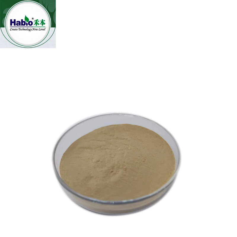 Protease Enzyme Powder y Granula
