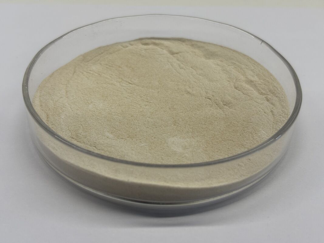 Tecnología avanzada de la xilanaza para la nutrición animal moderna