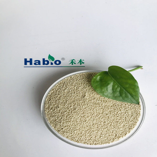 Polvo de la enzima de Habio de la lipasa del grado de la alimentación con la certificación ISO9001