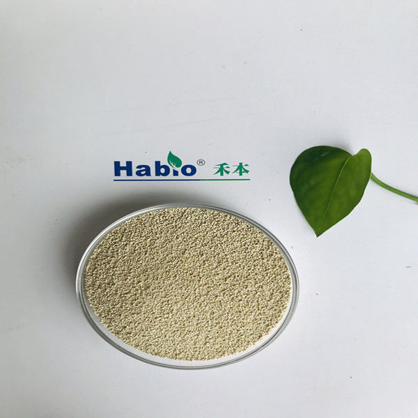 La nutrición de la lipasa habioenzimática mejora la absorción y la utilización del biodiesel