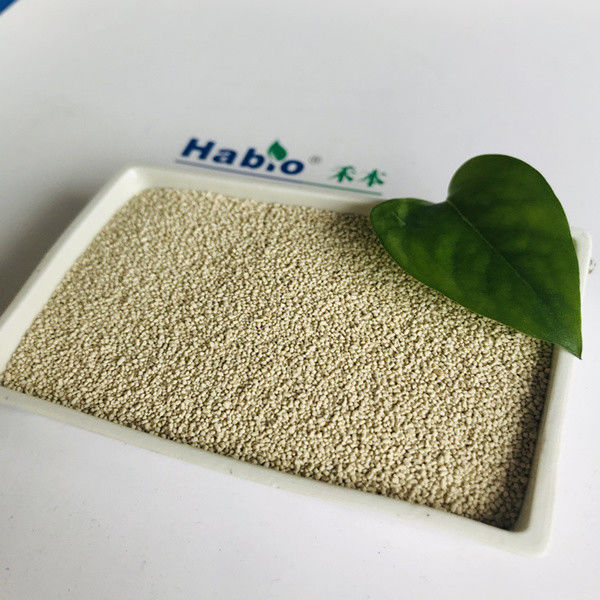 La nutrición de la lipasa habioenzimática mejora la absorción y la utilización del biodiesel
