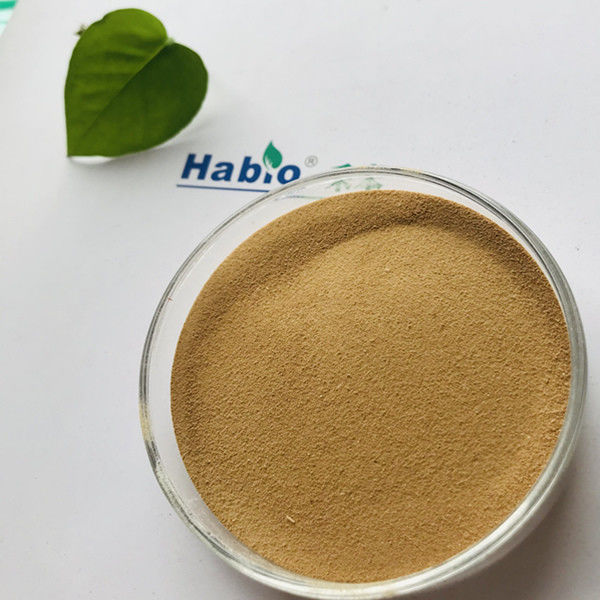 grado Alpha Amylase Powder With termoestable ISO9001 de la alimentación 10000U