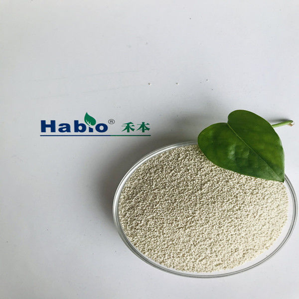 Xylanasa Enzima hidrolizante del xilano con actividad 10 000U/g-400 000U/g tasa de utilización de nutrientes que mejoran la digestión