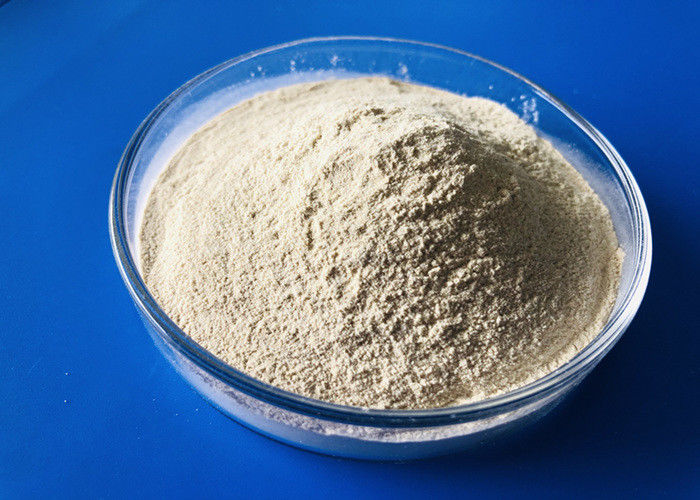 Cas 9025 proteólisis eficaz de 57 4 80 Mesh Protease Enzyme For Highly
