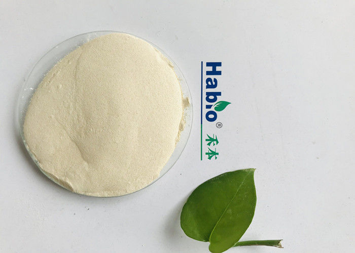 Polvo amarillento soluble en agua de las enzimas del pienso de la fitasa de Habio